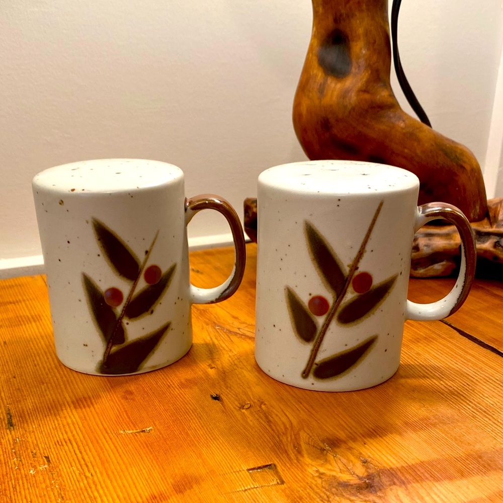 Otigari Bittersweet stovetop salt and pepper set. Vintage otigari.
